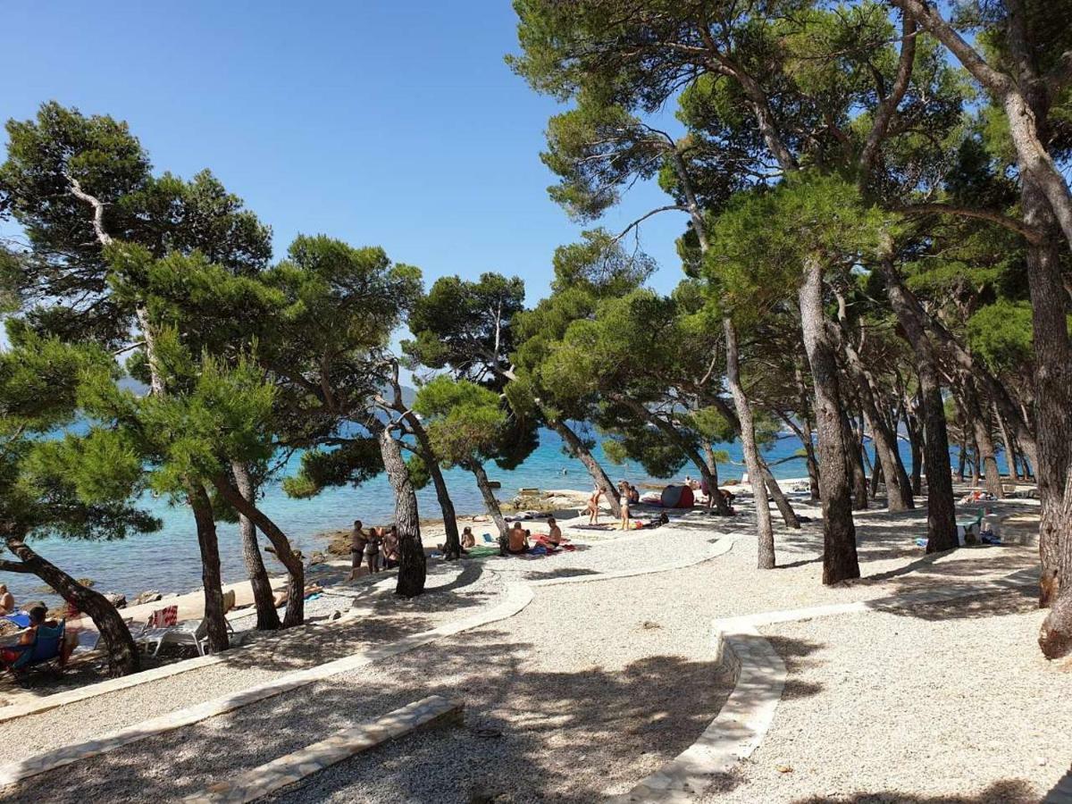 Mobile Home Starfish IV Camp Biograd Biograd Na Moru Exteriér fotografie